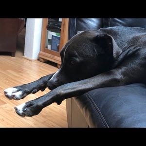 Meet your Posher, Stacy